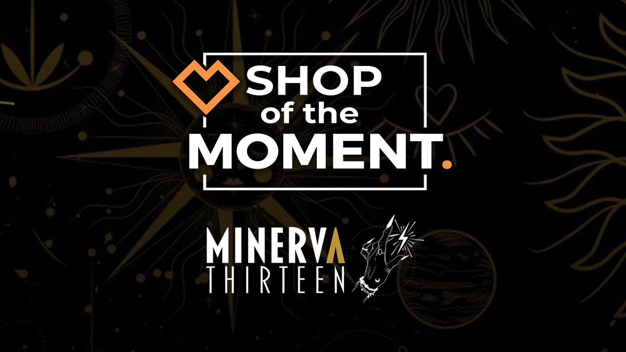 Shop of the Moment: Minerva Thirteen