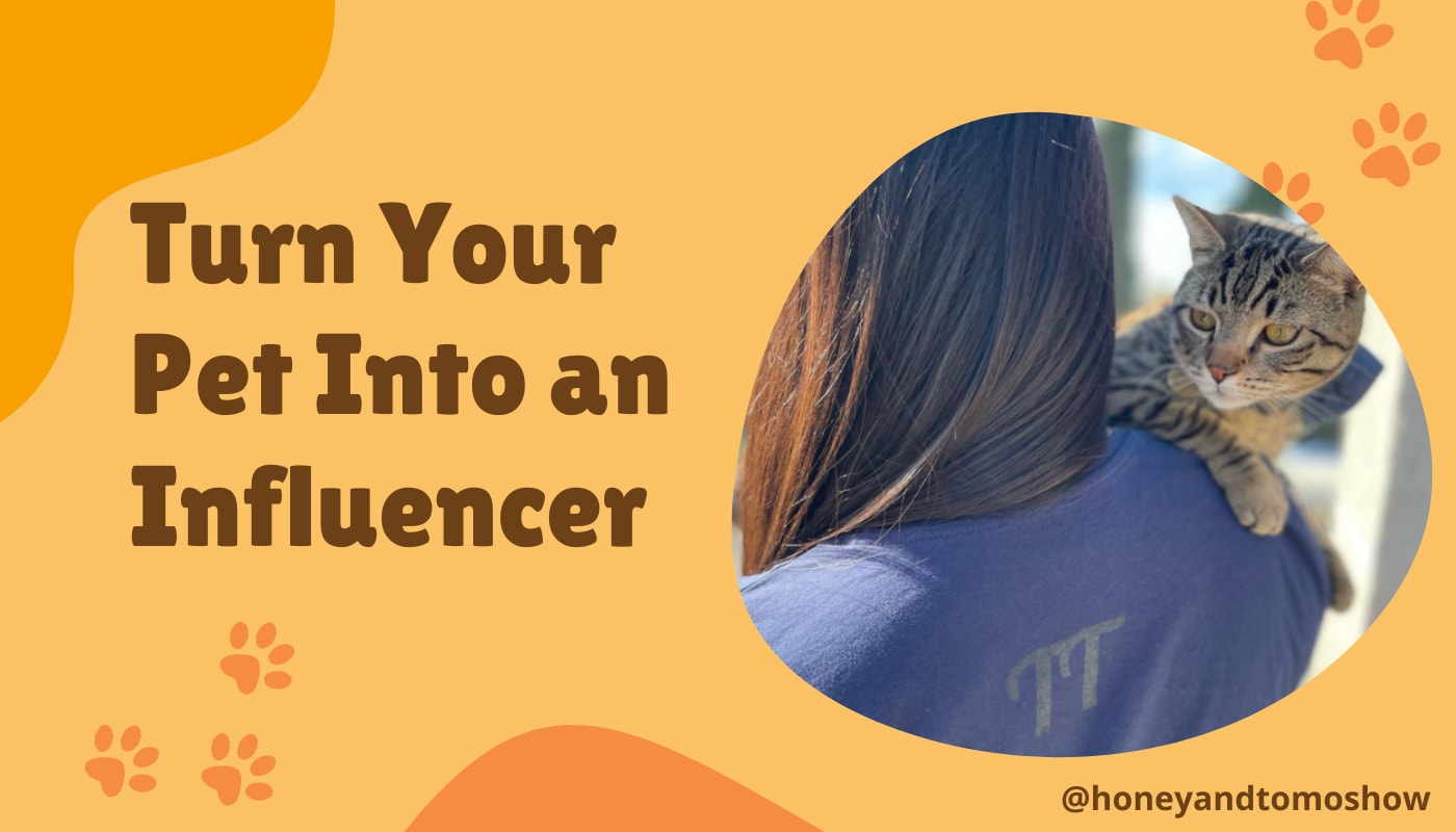 Turn Your Pet into an Influencer The Blog