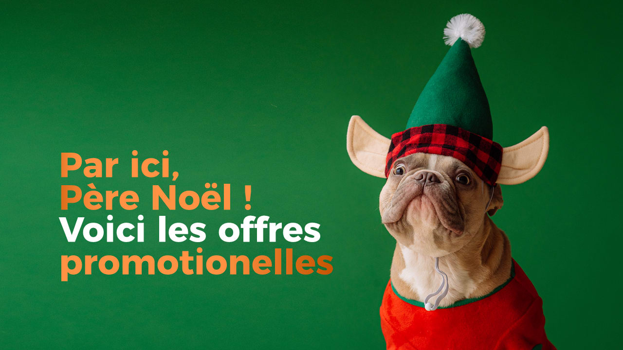 Vos offres promotionelles de Noël 2021