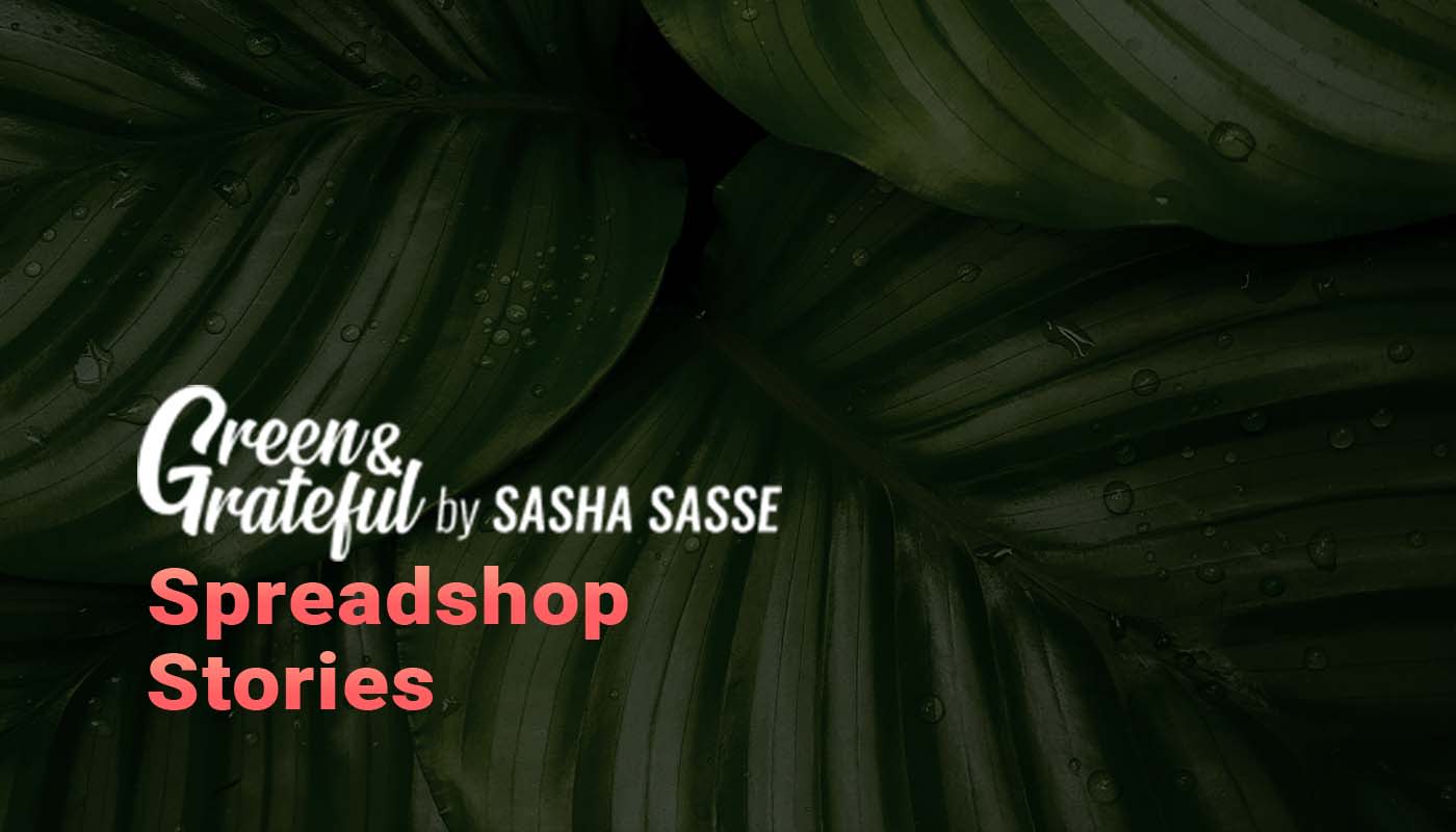 GREEN & GRATEFUL by Sasha Sasse – Wie Mister Germany Shop Owner wurde