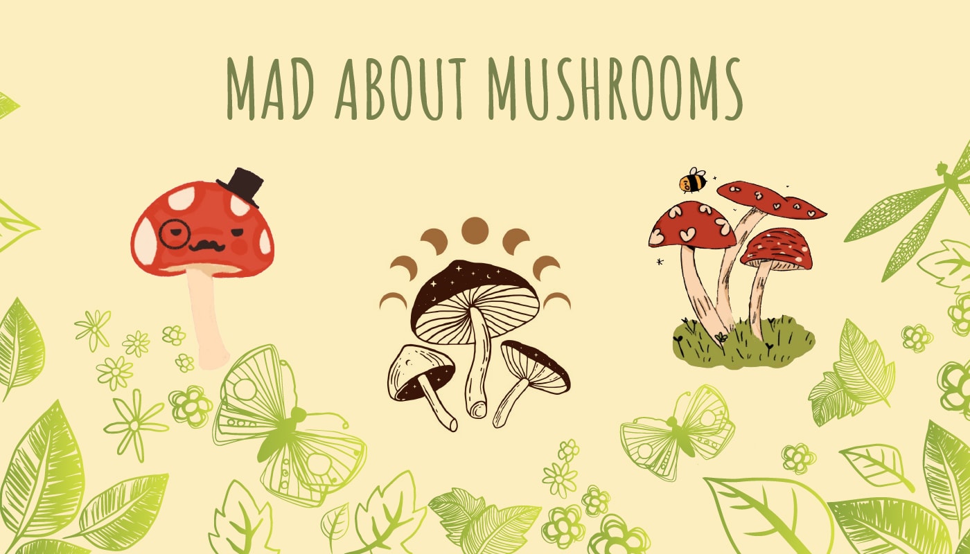 mushroom designs