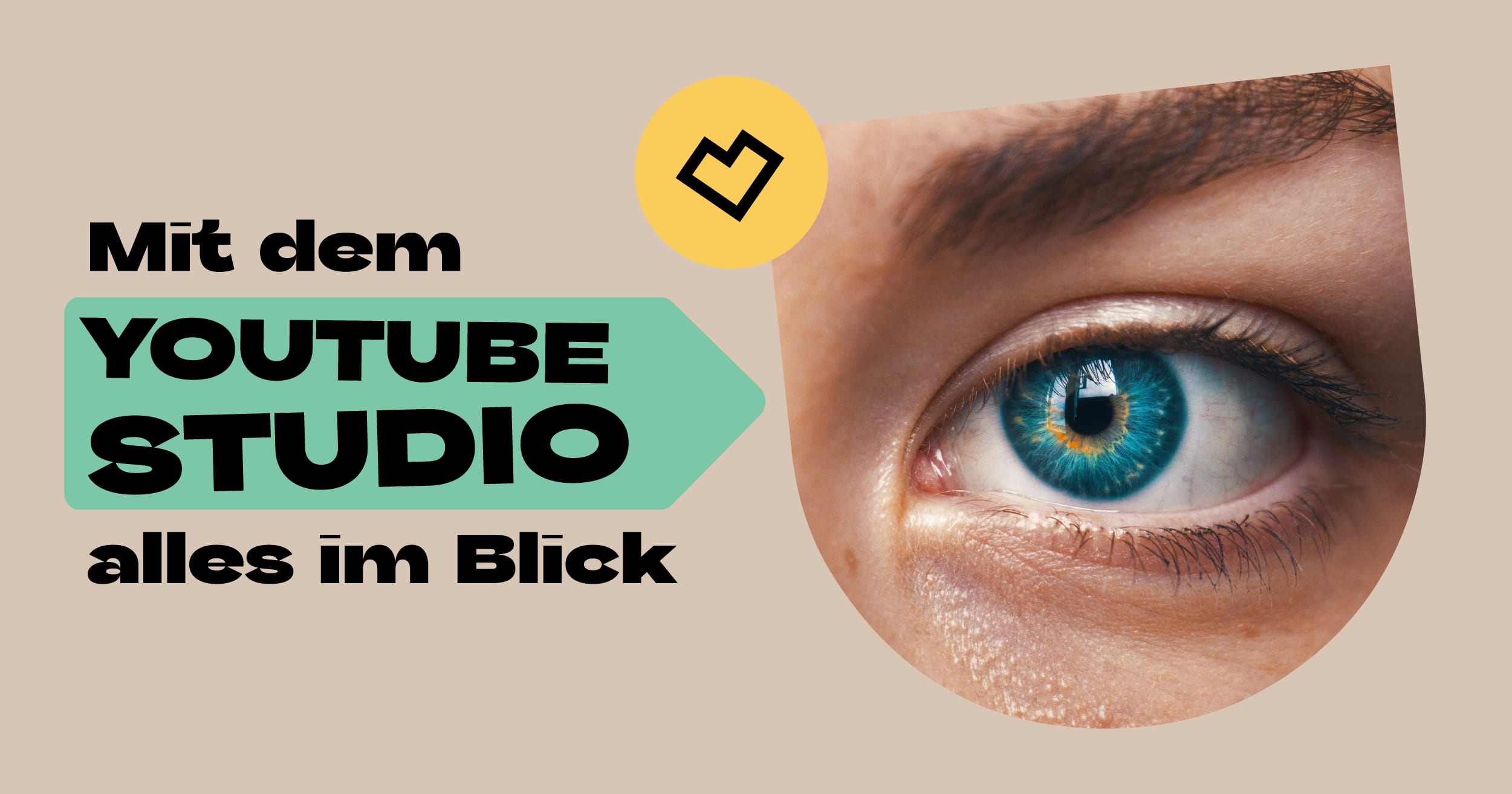 Mit dem YouTube Studio alles im Blick